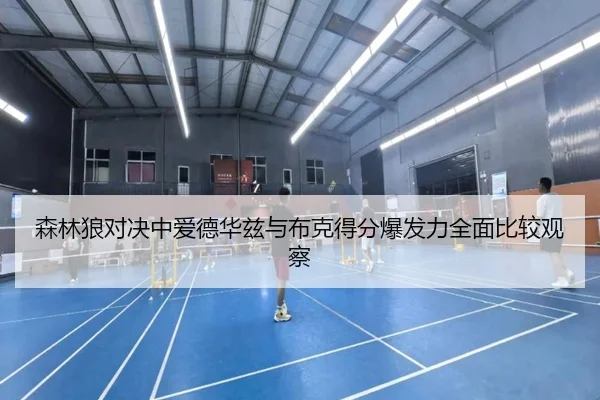 森林狼对决中爱德华兹与布克得分爆发力全面比较观察