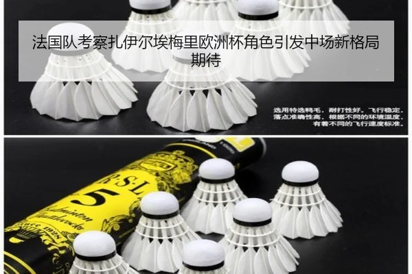 法国队考察扎伊尔埃梅里欧洲杯角色引发中场新格局期待